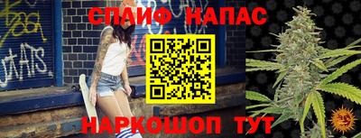 прущие грибы Анжеро-Судженск